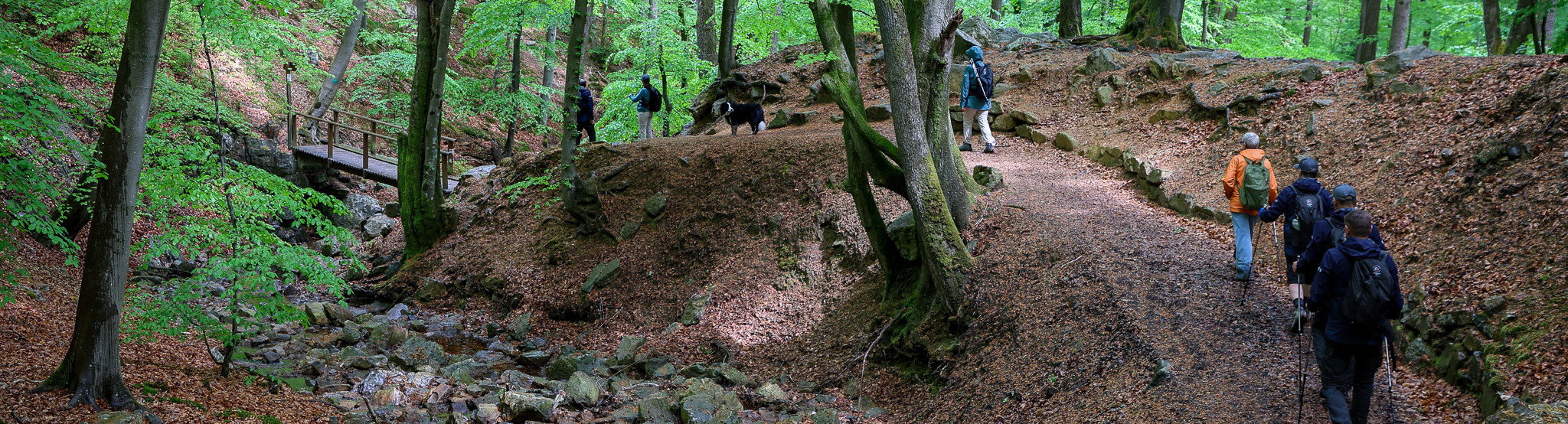 Wandelen brandwonden